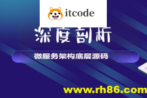【大厂学苑】深度剖析微服务架构底层源码