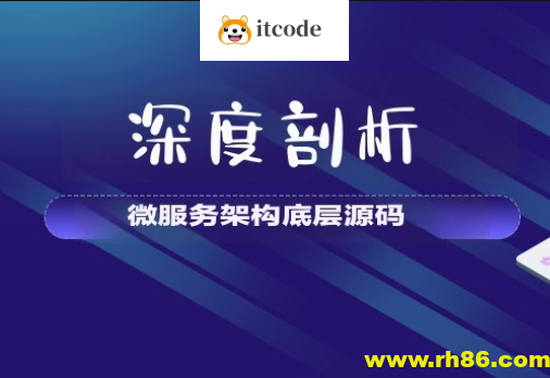 【大厂学苑】深度剖析微服务架构底层源码