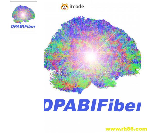DPABIFIBER脑结构纤维与脑功能融合高阶课程