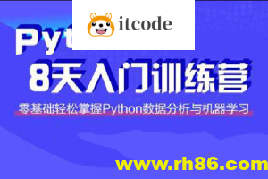 路飞 小白入门 Python八天训练营课程