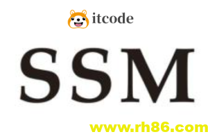 Java web项目源码整合开发ssm（30套）