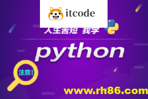 王道Python工程师2024长期班10期|价值过万