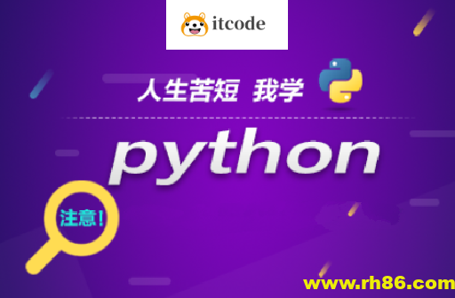 王道Python工程师2024长期班10期|价值过万