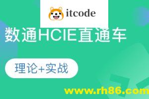 HCIE-阮维数通直通车2024