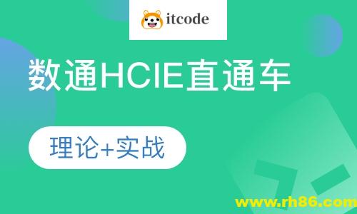 HCIE-阮维数通直通车2024