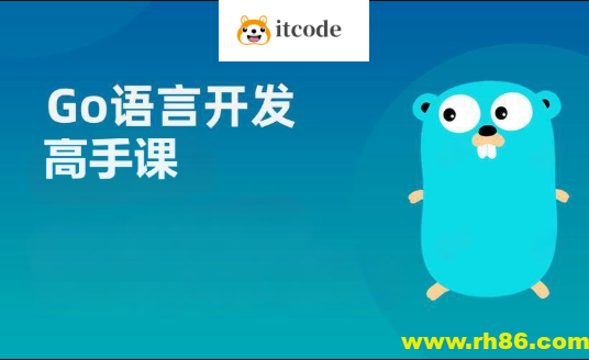 Go服务开发高手课