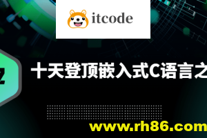 十天登顶嵌入式C语言之巅（高手C）