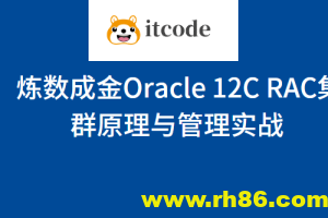 炼数成金Oracle 12C RAC集群原理与管理实战