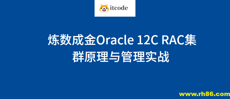 炼数成金Oracle 12C RAC集群原理与管理实战