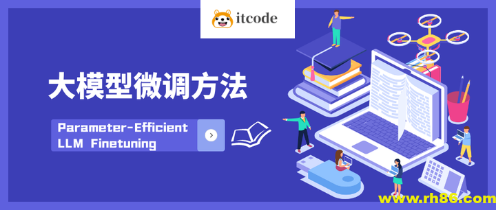 领域大模型微调案例课