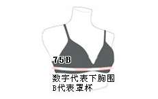 用Python抓取某东购买记录并统计MM的bra大小(附代码)