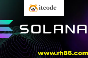 使用Rust和Typescript的Solana区块链开发者训练营(英文版)