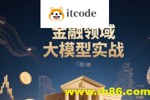 金融领域大模型实战