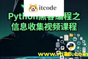 Python黑客编程之信息收集视频课程
