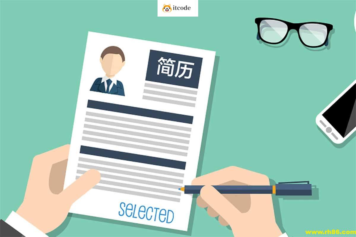 70套稻壳儿收费简历模板