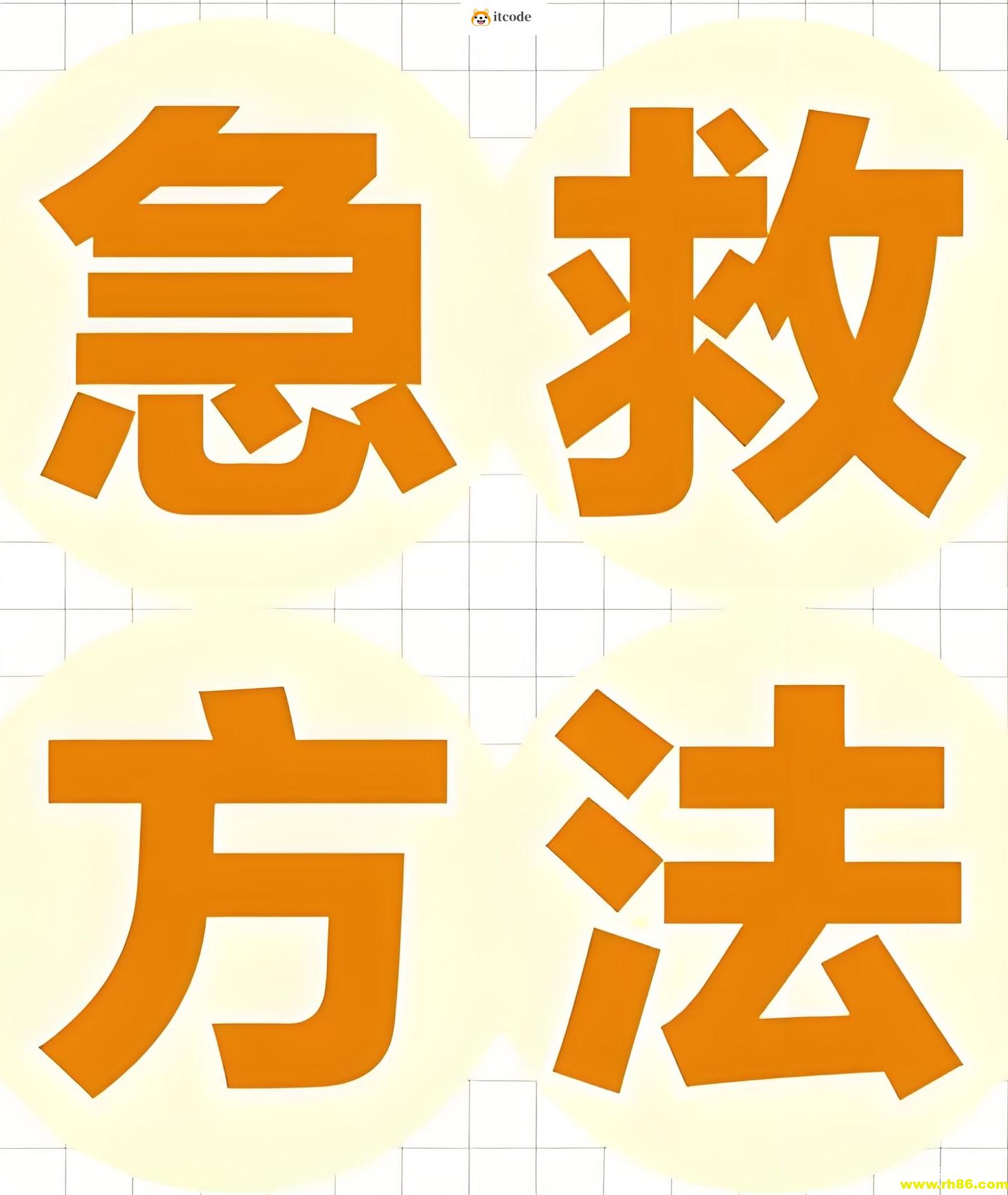 少年得到&陈志《一秒打开就能照做的急救指南》