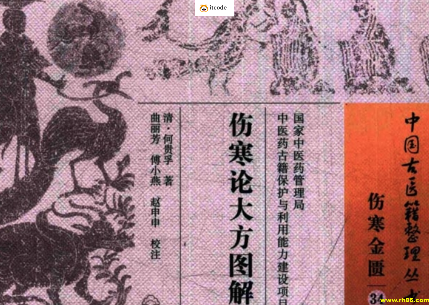 抖音爆火的画出来的伤寒论《伤寒论大方图解》