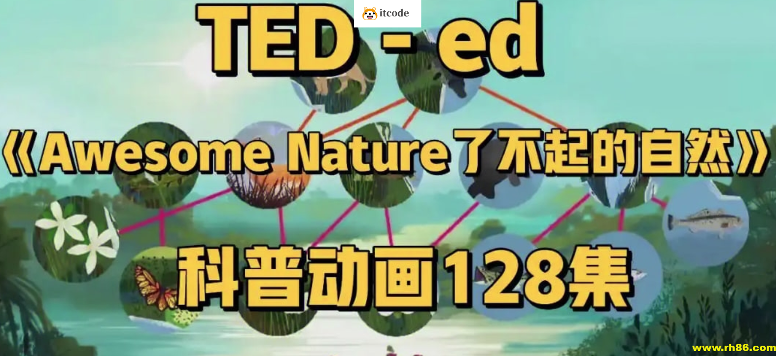 TED-ed系列科普动画《了不起的自然 Awesome Nature》