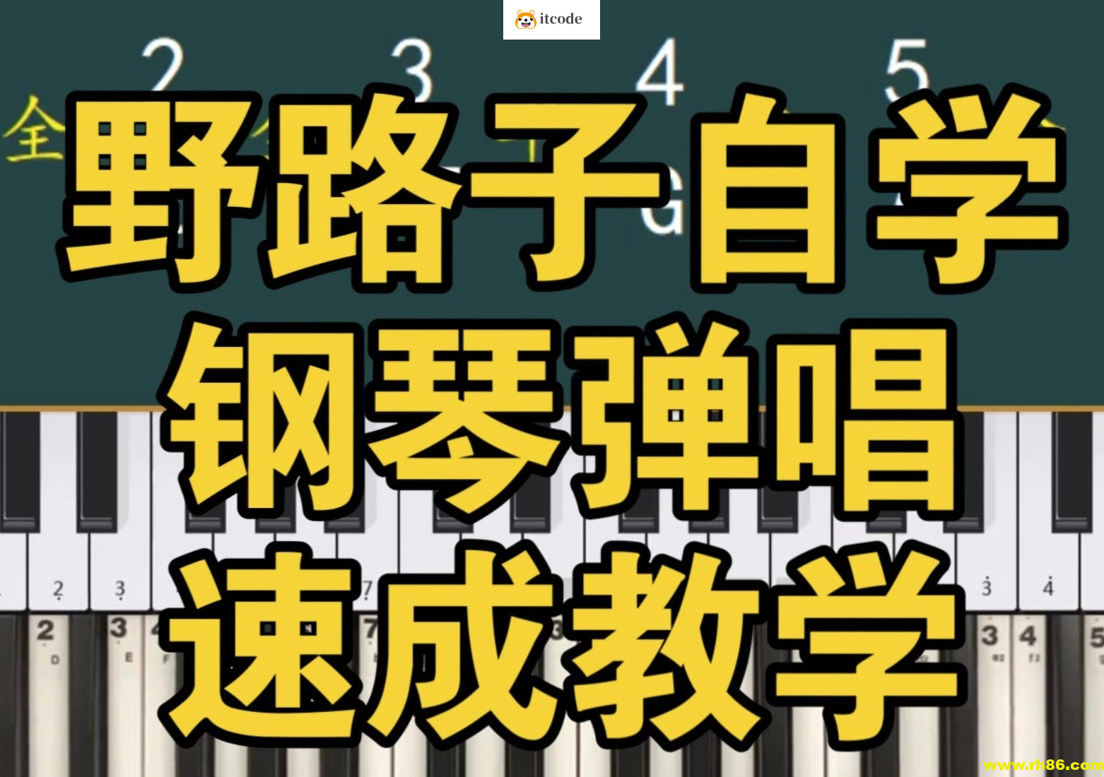 野路子《钢琴弹唱100天速成系统课》