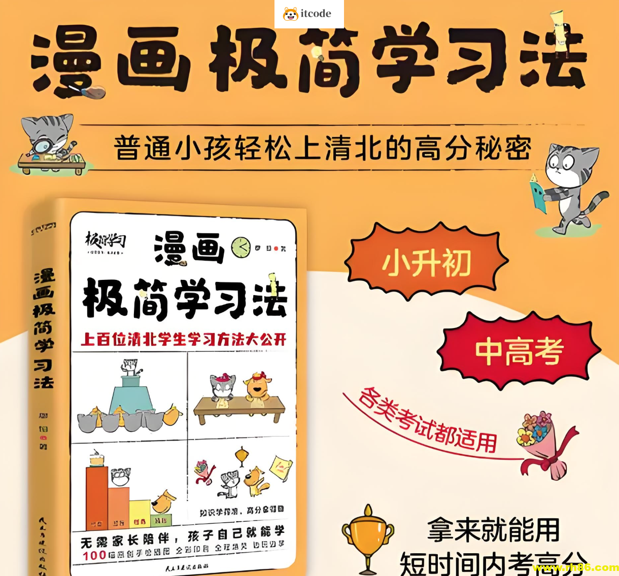 《漫画极简学习法》普通小孩轻松上清北的高分秘密