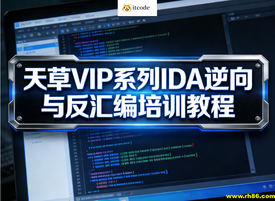 天草VIP系列IDA逆向与反汇编培训教程